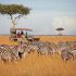 Volle dag game driving in het Serengeti Park