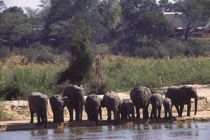 17 daagse Zimbabwe en Botswana Game Tracker Comfort Safari