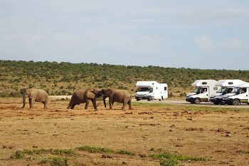 22 Daagse Camperrondreis Namibië Windhoek Tot Windhoek