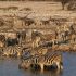 20 daagse Cape Town to Victoria Falls overland comfort groepssafari - Afbeelding 6