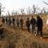 20 daagse Cape Town to Victoria Falls overland comfort groepssafari - Afbeelding 13