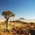 20 daagse Cape Town to Victoria Falls overland comfort groepssafari - Afbeelding 12