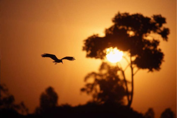 De zon gaat onder in Kenia
