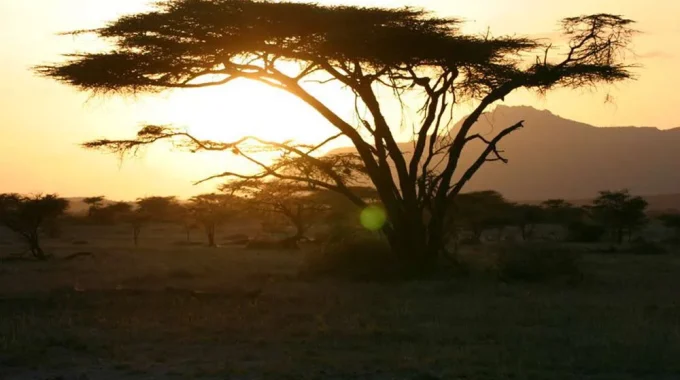 7 DAAGSE “KENIA TRAILS” LODGE & TENTED CAMP PRIVE SAFARI