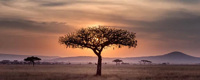 De Hoogtepunten Van Zuid-Afrika