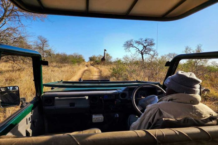 Game Drive Balule