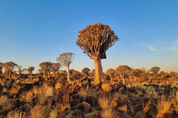 Damaraland