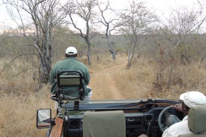 Game Drive