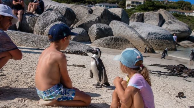 Rondreis Zuid-Afrika met kinderen